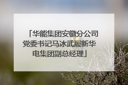 华能集团安徽分公司党委书记马冰武履新华电集团副总经理