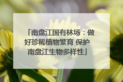 南盘江国有林场：做好珍稀植物繁育 保护南盘江生物多样性