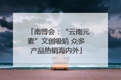南博会：“云南元素”文创吸睛 众多产品热销海内外