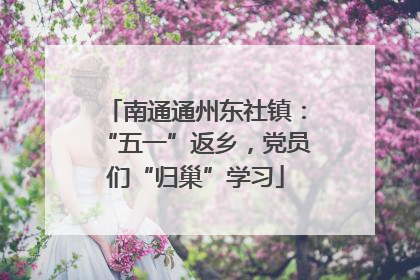 南通通州东社镇：“五一”返乡，党员们“归巢”学习