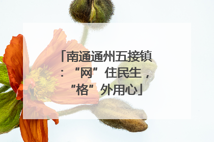 南通通州五接镇：“网”住民生，“格”外用心