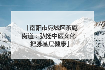 南阳市宛城区茶庵街道：弘扬中医文化 把脉基层健康