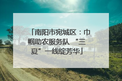 南阳市宛城区：巾帼助农服务队 “三夏”一线绽芳华