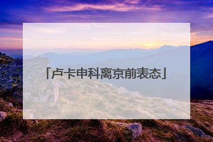 卢卡申科离京前表态