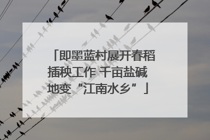 即墨蓝村展开春稻插秧工作 千亩盐碱地变“江南水乡”