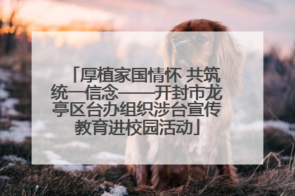 厚植家国情怀 共筑统一信念——开封市龙亭区台办组织涉台宣传教育进校园活动