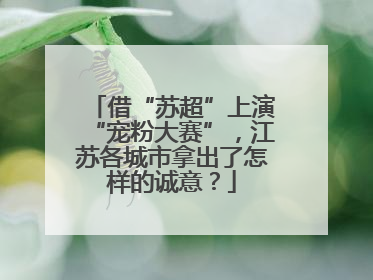 借“苏超”上演“宠粉大赛”，江苏各城市拿出了怎样的诚意？