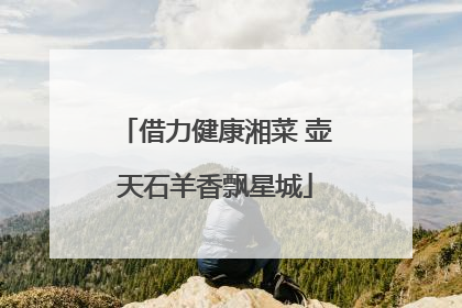 借力健康湘菜 壶天石羊香飘星城