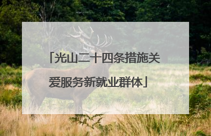 光山二十四条措施关爱服务新就业群体