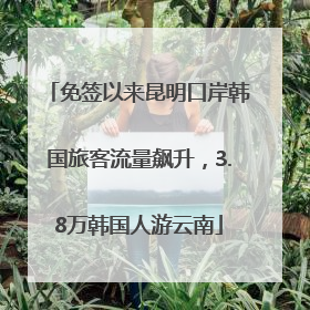 免签以来昆明口岸韩国旅客流量飙升，3.8万韩国人游云南