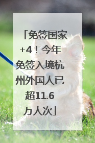 免签国家+4！今年免签入境杭州外国人已超11.6万人次