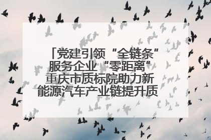 党建引领“全链条” 服务企业“零距离” 重庆市质标院助力新能源汽车产业链提升质量管理水平