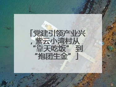 党建引领产业兴，紫云小湾村从 “靠天吃饭” 到 “抱团生金”