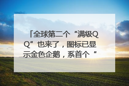 全球第二个“满级QQ”也来了，图标已显示金色企鹅，系首个“满级QQ”的小号