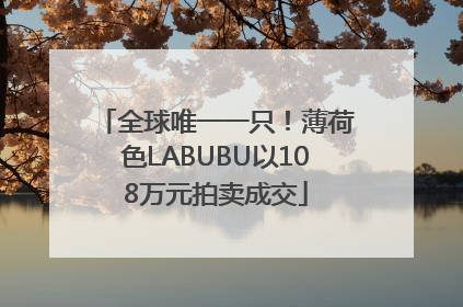 全球唯一一只！薄荷色LABUBU以108万元拍卖成交