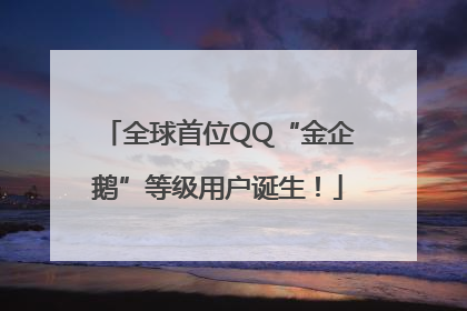 全球首位QQ“金企鹅”等级用户诞生！