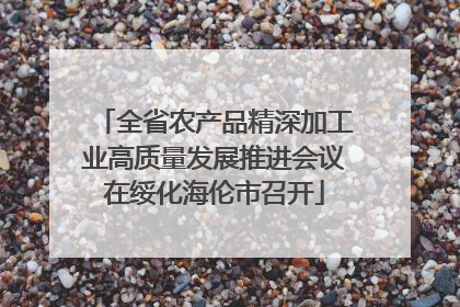 全省农产品精深加工业高质量发展推进会议在绥化海伦市召开