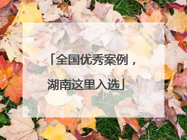 全国优秀案例，湖南这里入选