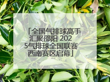 全国气排球高手汇聚邵阳 2025气排球全国联赛西南赛区启幕