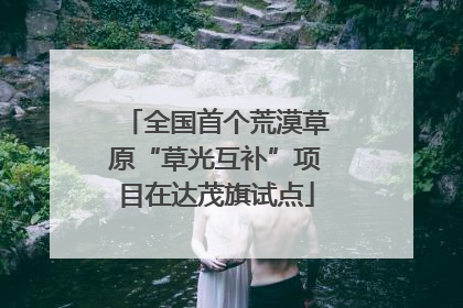 全国首个荒漠草原“草光互补”项目在达茂旗试点