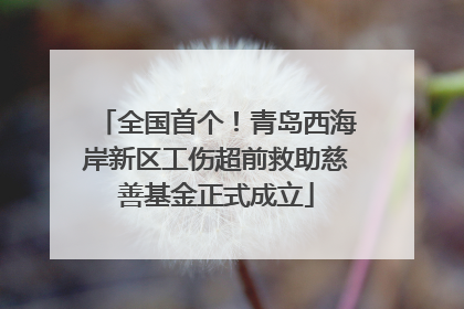 全国首个！青岛西海岸新区工伤超前救助慈善基金正式成立