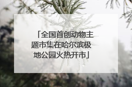 全国首创动物主题市集在哈尔滨极地公园火热开市