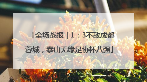 全场战报｜1：3不敌成都蓉城，泰山无缘足协杯八强