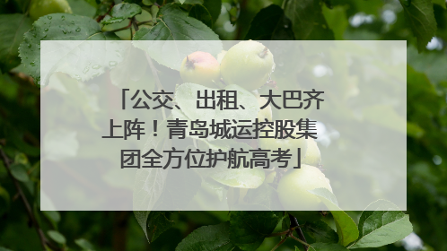 公交、出租、大巴齐上阵！青岛城运控股集团全方位护航高考