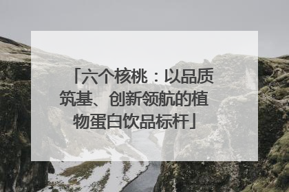 六个核桃：以品质筑基、创新领航的植物蛋白饮品标杆