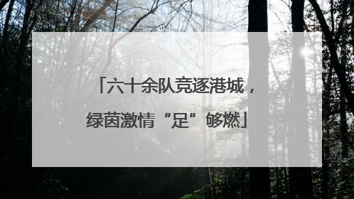 六十余队竞逐港城，绿茵激情“足”够燃