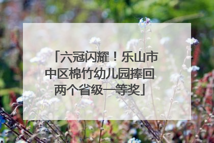 六冠闪耀！乐山市中区棉竹幼儿园捧回两个省级一等奖