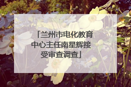兰州市电化教育中心主任南星辉接受审查调查