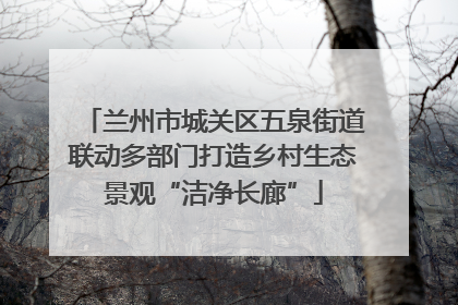 兰州市城关区五泉街道联动多部门打造乡村生态景观“洁净长廊”