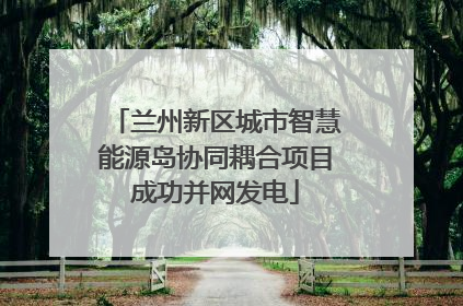 兰州新区城市智慧能源岛协同耦合项目成功并网发电