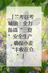 兰考县考城镇：全力备战“三夏”安全生产，确保小麦“丰收在仓”