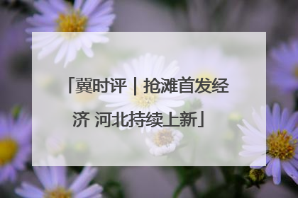 冀时评｜抢滩首发经济 河北持续上新