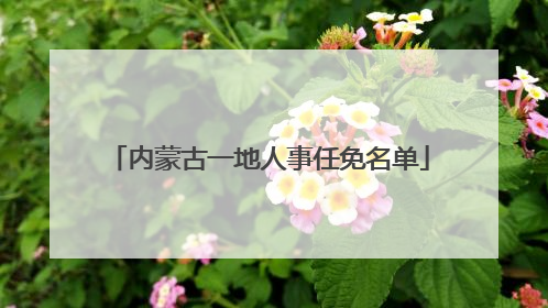 内蒙古一地人事任免名单