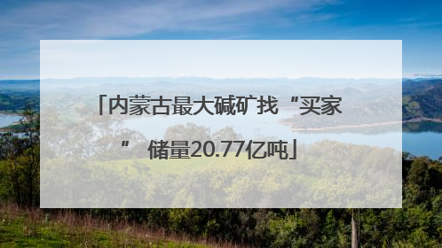 内蒙古最大碱矿找“买家” 储量20.77亿吨
