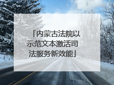 内蒙古法院以示范文本激活司法服务新效能