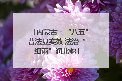 内蒙古：“八五”普法显实效 法治“细雨”润北疆