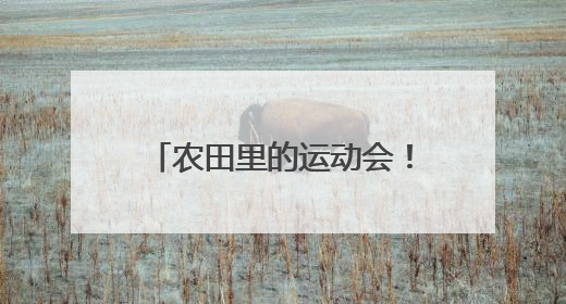 农田里的运动会！燃动乡村新活力