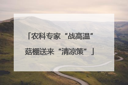 农科专家“战高温” 菇棚送来“清凉策”