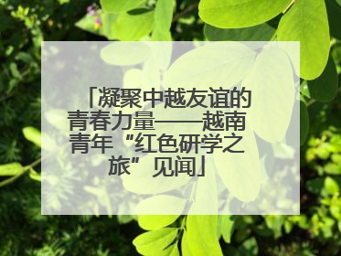 凝聚中越友谊的青春力量——越南青年“红色研学之旅”见闻