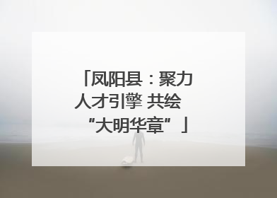 凤阳县：聚力人才引擎 共绘“大明华章”