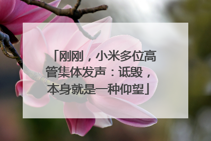 刚刚，小米多位高管集体发声：诋毁，本身就是一种仰望