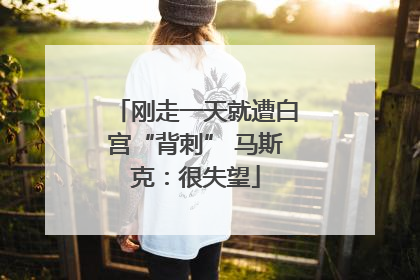 刚走一天就遭白宫“背刺” 马斯克：很失望