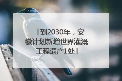 到2030年，安徽计划新增世界灌溉工程遗产1处