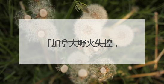 加拿大野火失控，七国集团峰会场地或面临烟雾风险