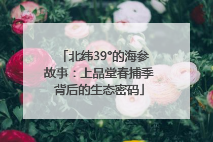北纬39°的海参故事：上品堂春捕季背后的生态密码