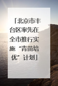 北京市丰台区率先在全市推行实施“青苗培优”计划